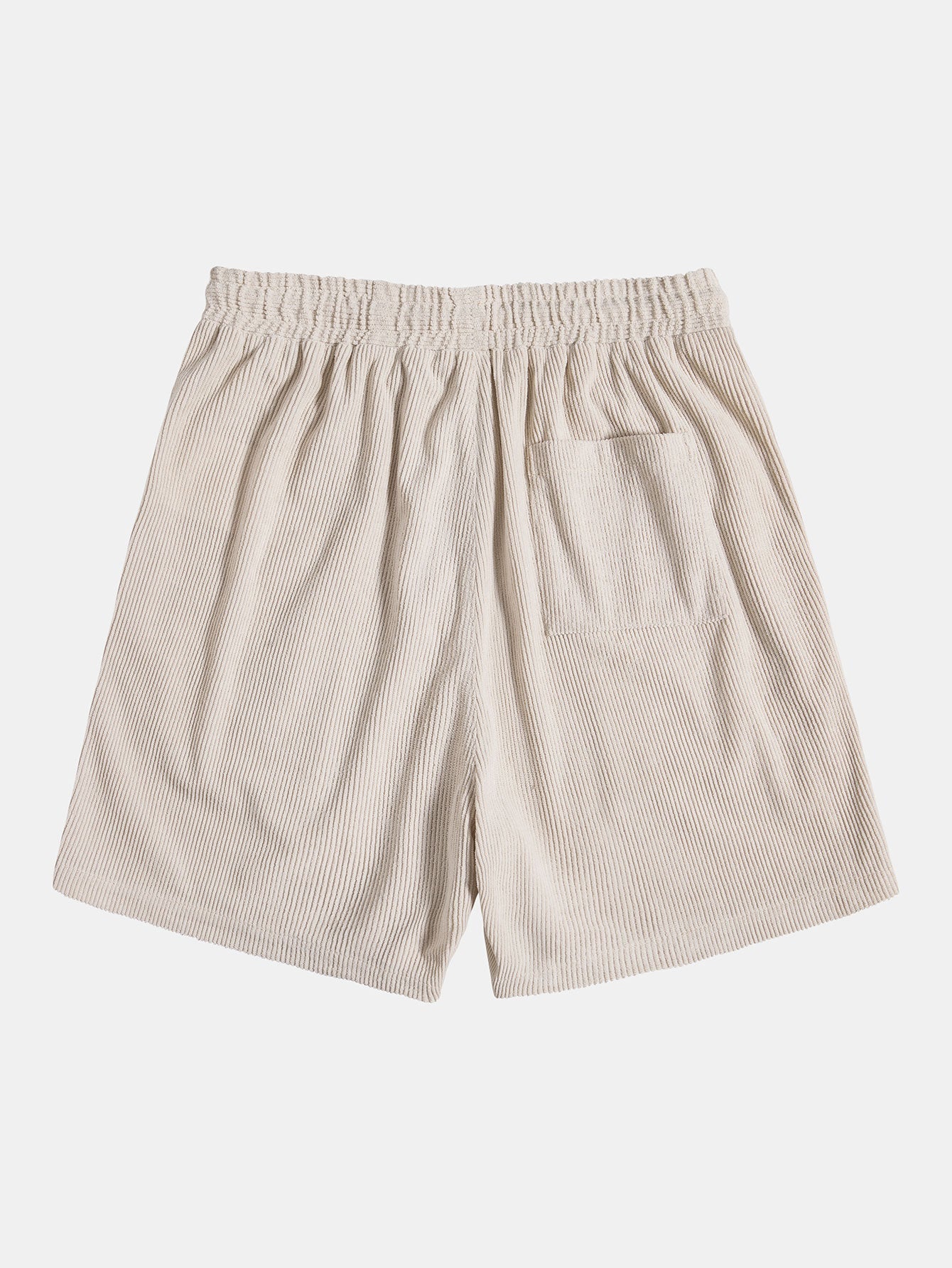 Dillan - Strand Zomerset